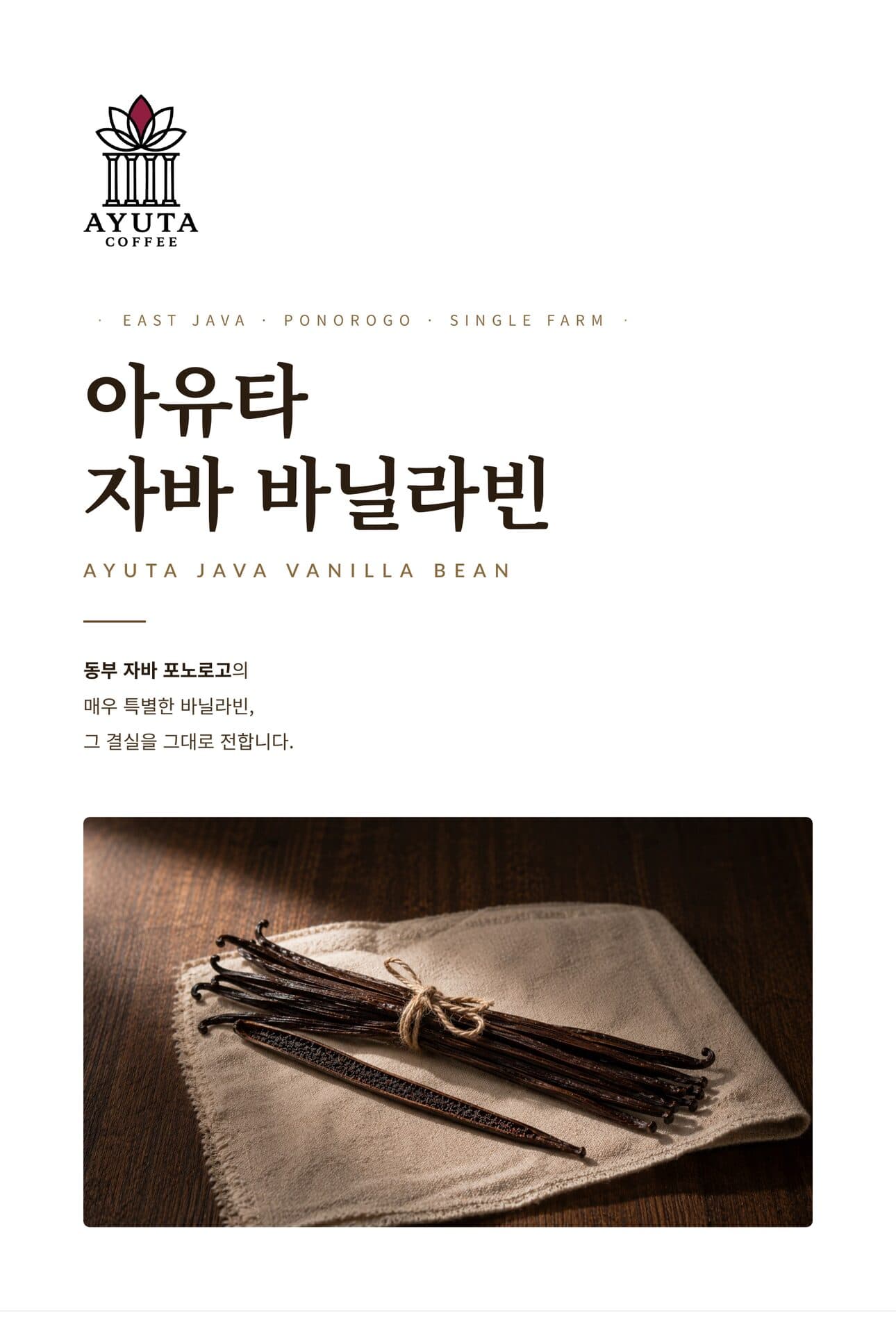 아유타 자바 바닐라빈 상세 정보