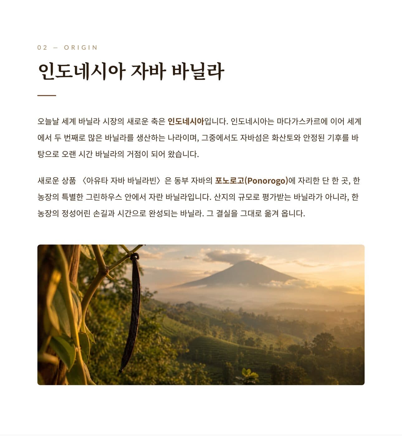 자바 바닐라빈 산지