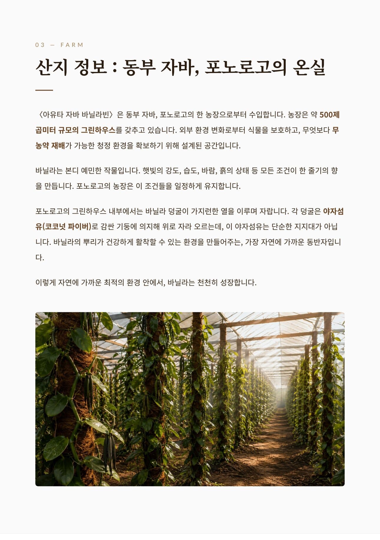 자바 바닐라빈 농장