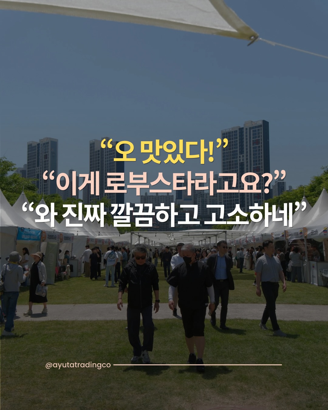 2026 글로벌 영도 커피 페스티벌 행사장 전경과 현장 반응